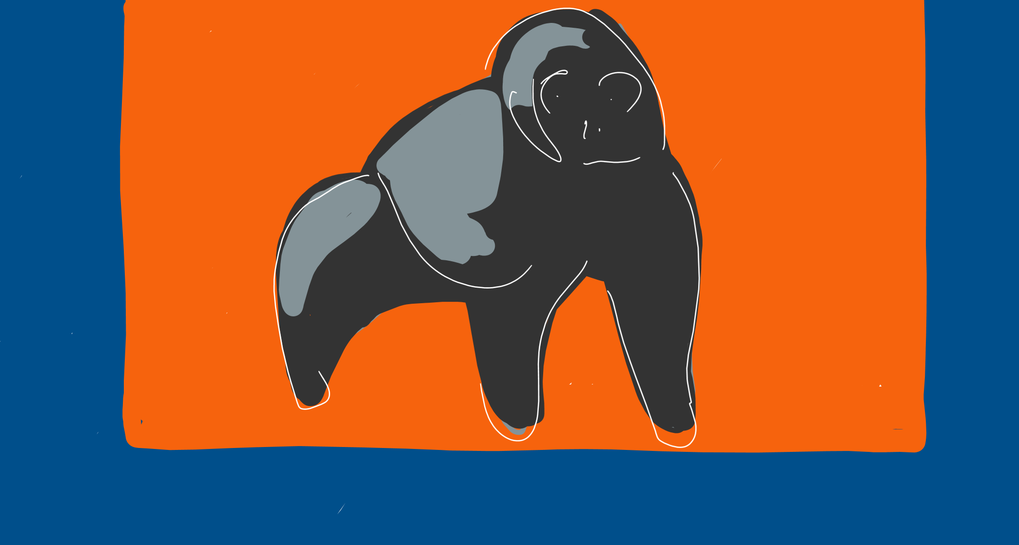 Silverback gorilla hand drawn on orange and blue background 
